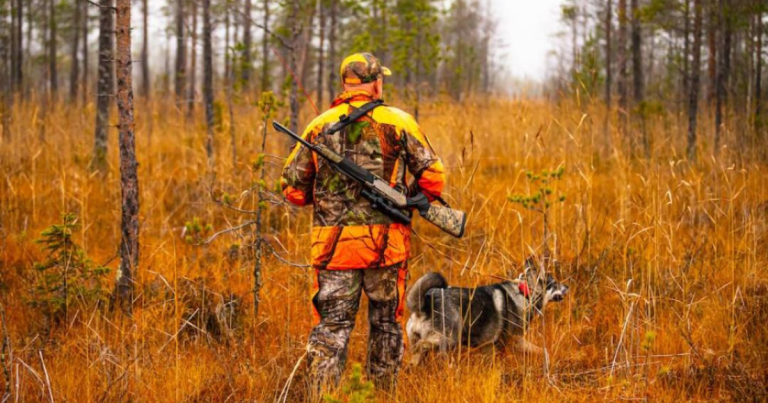 What Group Sets Hunting Regulations In Most States?